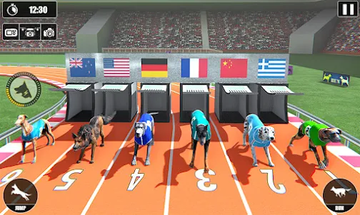 Чемпионат собачьих бегов 2022