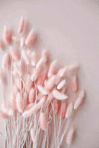 Android application pink image _ pink wallpaper screenshort