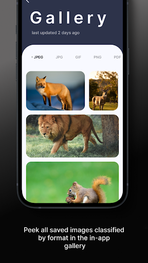 Image Convertor - MBs to KBs