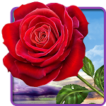 Cover Image of Download Rose. Magic Touch Flowers  APK
