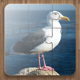 Bird Puzzle Games Free icon