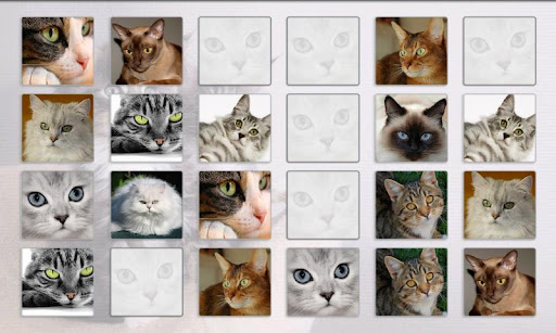 Cats Memory Game