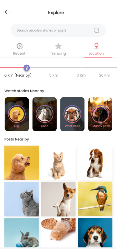 #4. Peterly (Android) 由: 9x Technology LLC