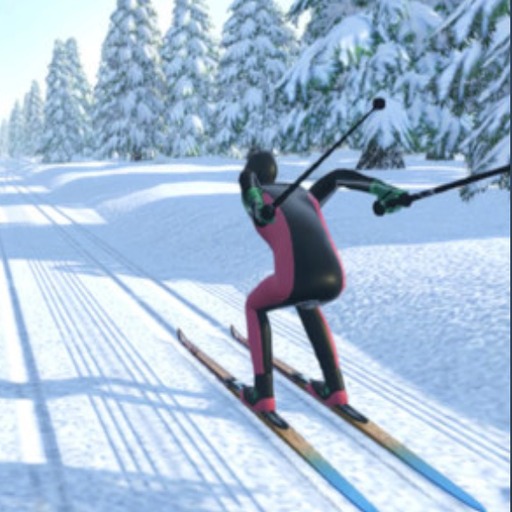 Ski Race logo