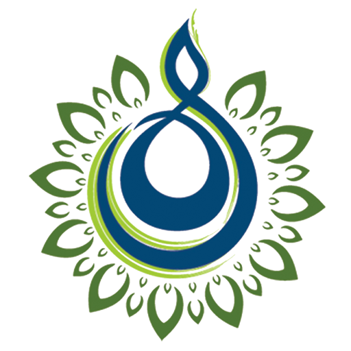 BHEERAM SREEDHAR REDDY INTERNA logo