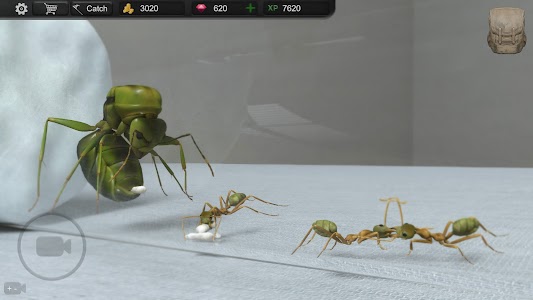Ant Sim Tycoon Unknown