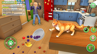 Game screenshot Kitty Vs Grandpa Cat Simulator hack