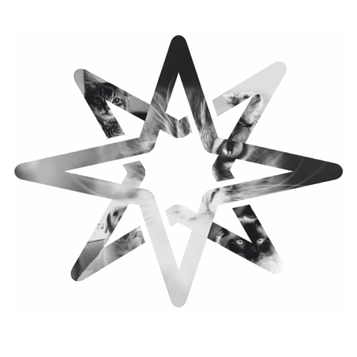 Geulincx logo