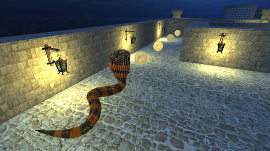 Wild Anaconda Snake Maze Run
