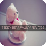 Tedy Bear Wallpaper Pics icon