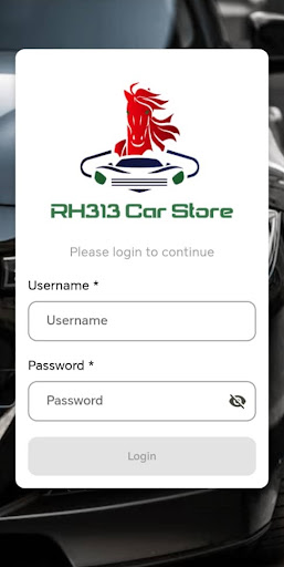 RH313 Car Store