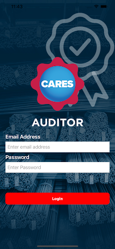 CARES Auditor Screen 2