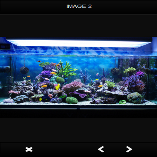 Aquascape Idea Screen 2