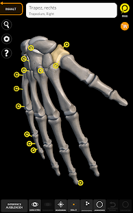 Skelett | 3D Anatomie Screenshot