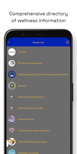 The Lone Star Readiness App Screen 3