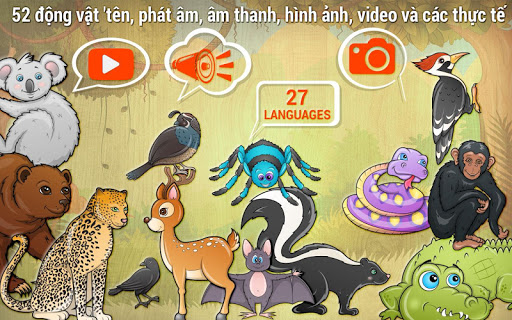 Bản xem trước ứng dụng