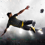 Cover Image of Download Pro Football 1.0 APK