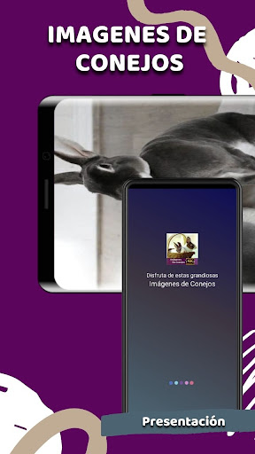 Android application Imágenes de Conejos screenshort
