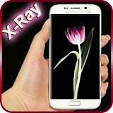 X-Ray Flowers Scanner LWP icon