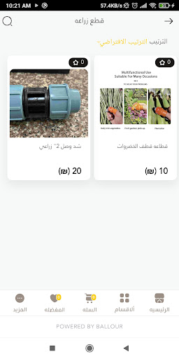 سالم الديراوي