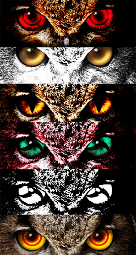 Logo https://play-lh.googleusercontent.com/VpfsErmkYXyiunczF8dZI29x0m-bfTPh-W6e_RbcfEddcPiPVBF0D0KdOUIFSJCUWUc