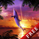 Dolphin Sunrise Trial icon