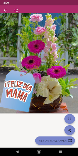 Feliz día de las madres Screen 3