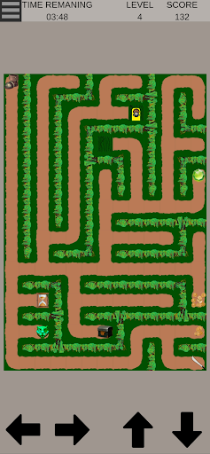Find the Path: A Maze Game Screen 3