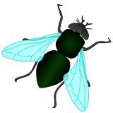 BugFly Sound icon