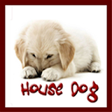 HOUSE DOG icon