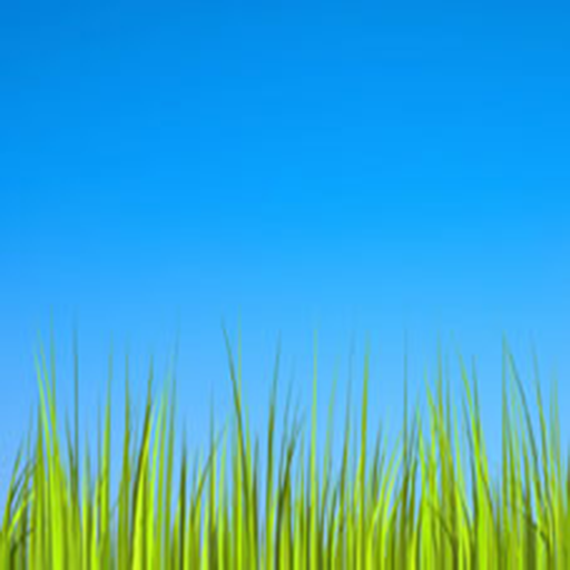 Grass LWP [Revamped] 3.0 Icon