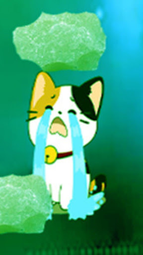 My cat gallery Screen 3