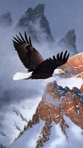 Eagle Wallpapers,Puzzle