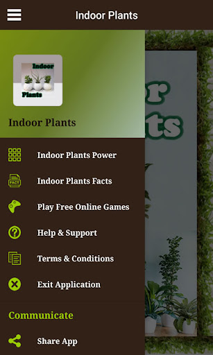 Indoor Plants Screen 2