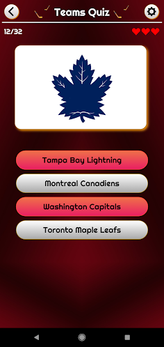 National Hockey League Trivia - Screenshot 1