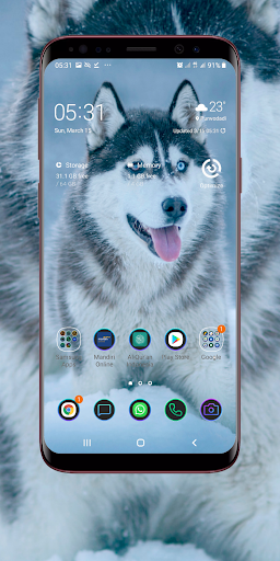 Siberian Husky Wallpaper Screen 2