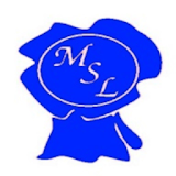 MSL GO icon