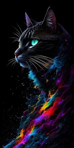 Black Cat Wallpaper HD 4K