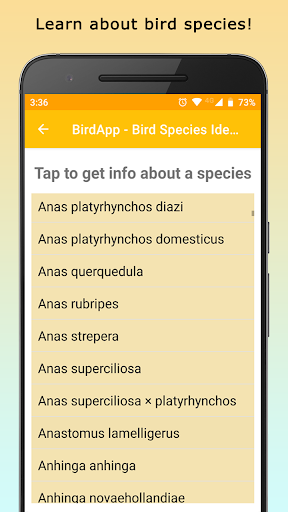 BirdsID - Identify Birds Screen 3