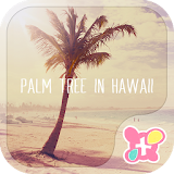 Palm Tree in Hawaii  Theme icon