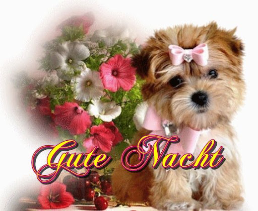 Android application Gute Nacht screenshort