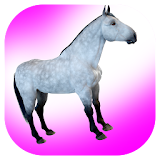 Horse Jockey Riding Simulator - Horse Riding Games icon