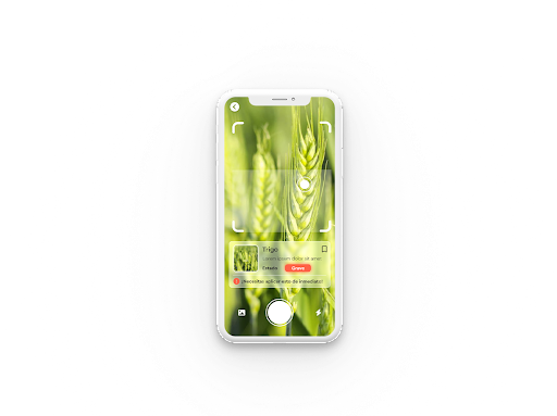 NaPets Screen 3