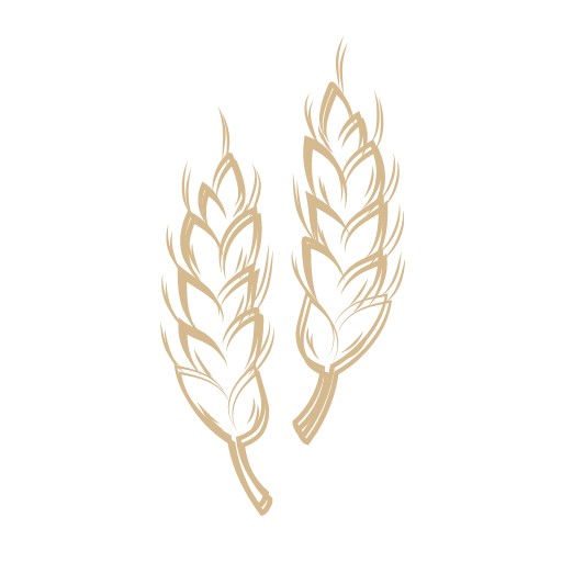 Bharat Bhoomi logo
