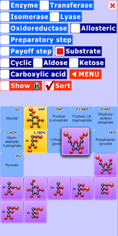 Glycolysis Match Game - Screenshot 2