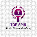 Top Spin Academy 
