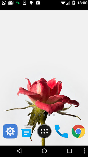 single red rose wallpaper Screen 2