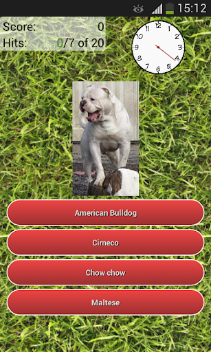 Dog Breeds Quiz Screen 3