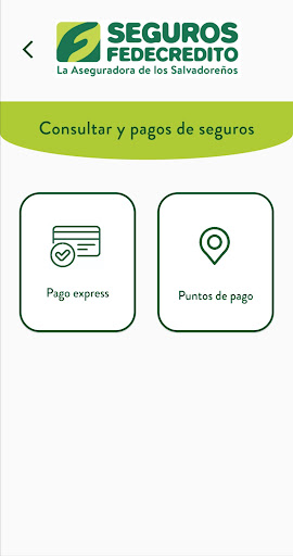 Seguros Screen 2