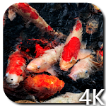 Koi 4K Video Live Wallpaper Apk